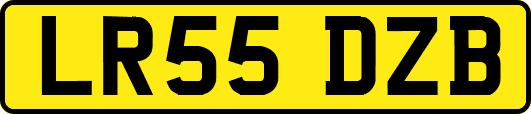 LR55DZB