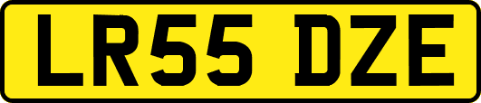 LR55DZE