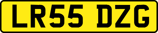 LR55DZG