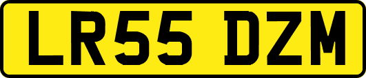 LR55DZM