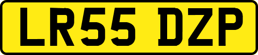 LR55DZP