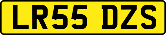 LR55DZS
