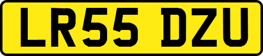 LR55DZU