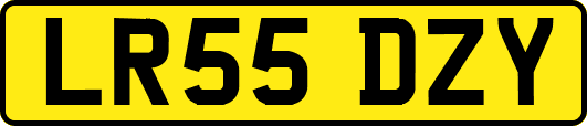 LR55DZY