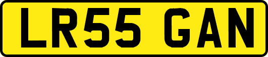 LR55GAN