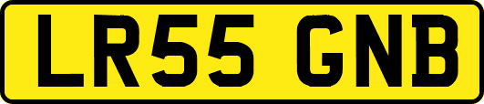 LR55GNB