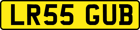 LR55GUB