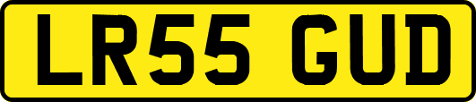 LR55GUD