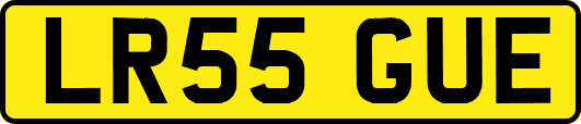 LR55GUE