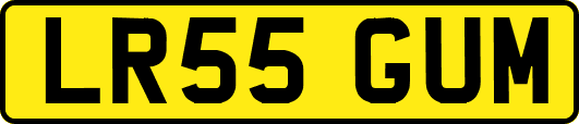 LR55GUM