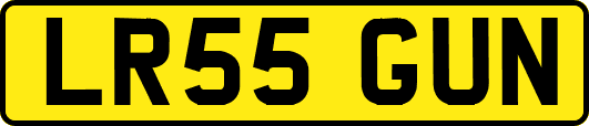LR55GUN
