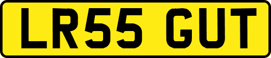 LR55GUT