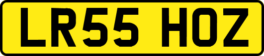 LR55HOZ
