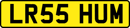 LR55HUM