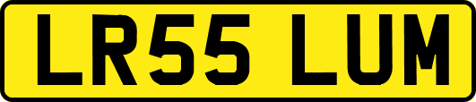 LR55LUM