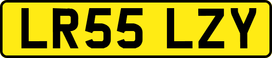 LR55LZY