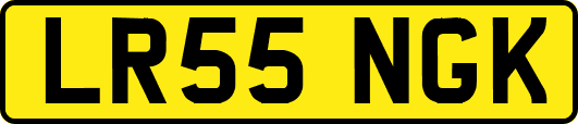 LR55NGK