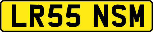 LR55NSM