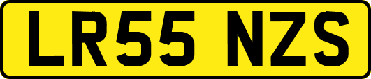 LR55NZS