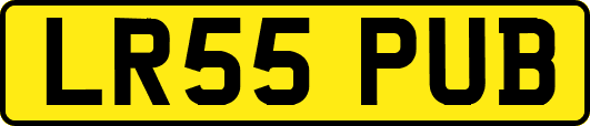 LR55PUB