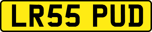LR55PUD