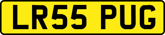 LR55PUG