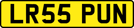LR55PUN