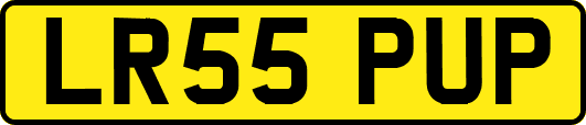 LR55PUP