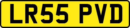 LR55PVD