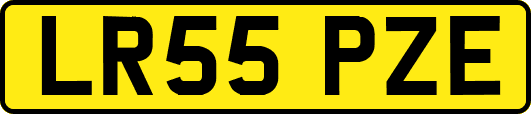 LR55PZE