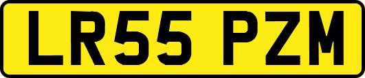 LR55PZM