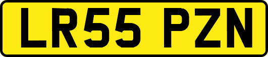 LR55PZN