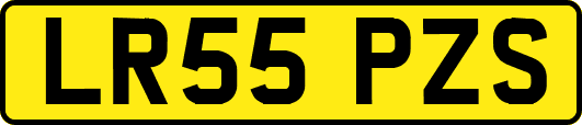 LR55PZS