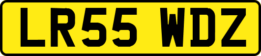 LR55WDZ