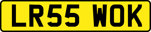 LR55WOK