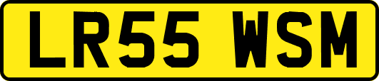 LR55WSM