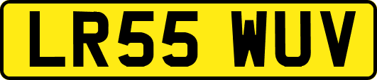 LR55WUV
