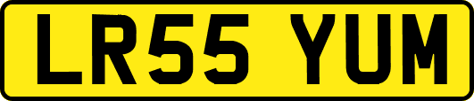 LR55YUM