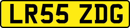 LR55ZDG