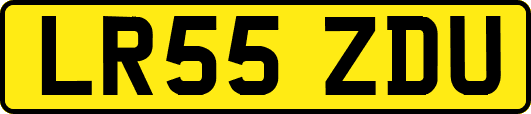 LR55ZDU