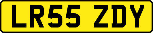 LR55ZDY
