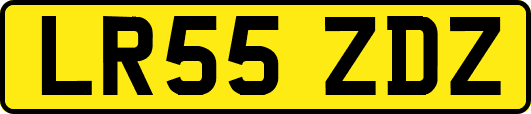 LR55ZDZ