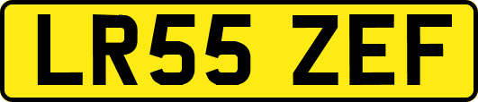 LR55ZEF