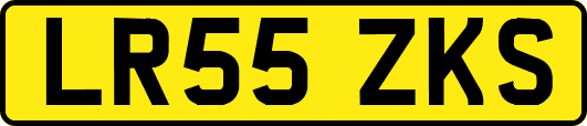 LR55ZKS