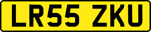 LR55ZKU