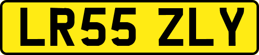LR55ZLY