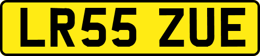 LR55ZUE