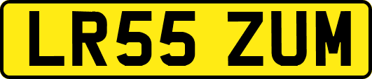LR55ZUM