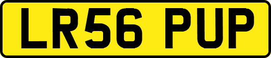 LR56PUP