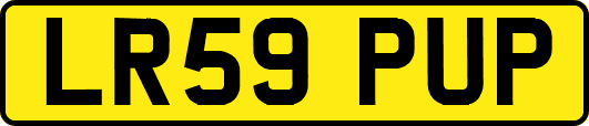 LR59PUP